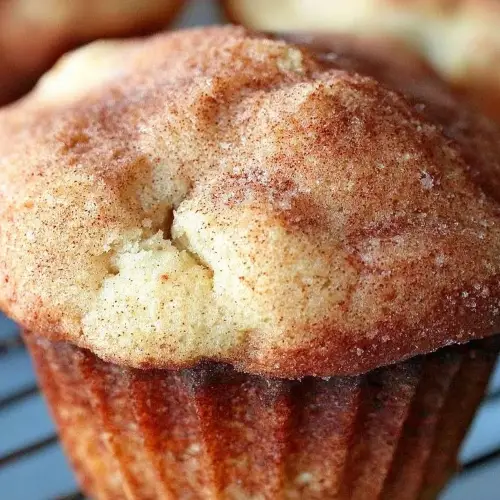 Snickerdoodle Muffins Recipe