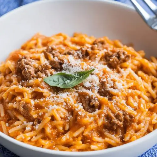 GROUND BEEF ORZO WITH TOMATO CREAM SAUCE