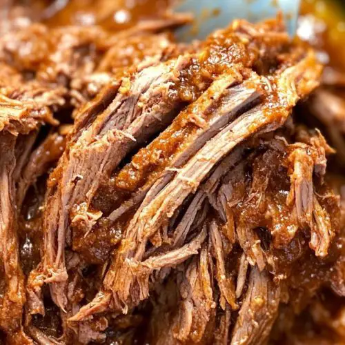 Mexican Shredded Beef