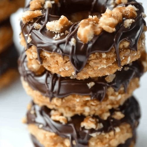 Samoas Cookies
