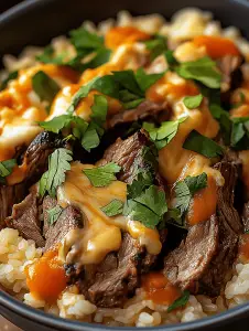 Steak & Queso Rice