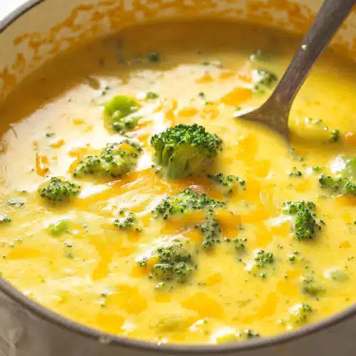 Broccoli Cheddar Soup