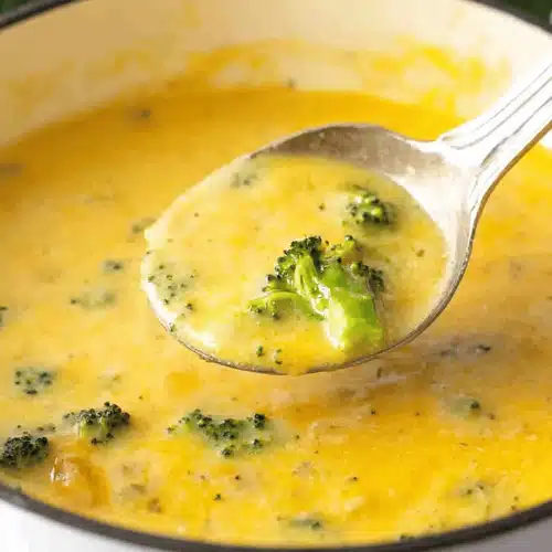 Broccoli Cheddar Soup