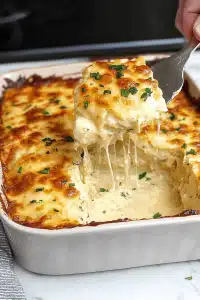 Chicken Alfredo Lasagna