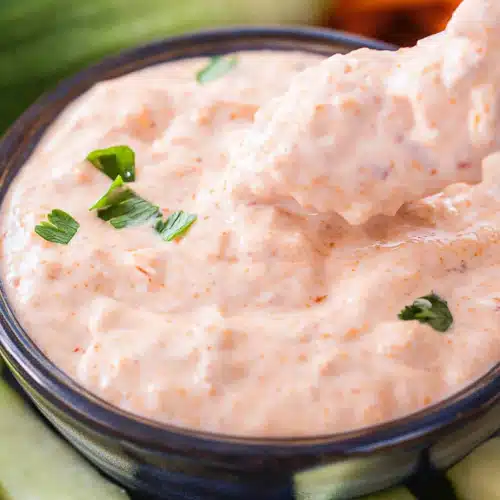 Creamy Salsa Dip