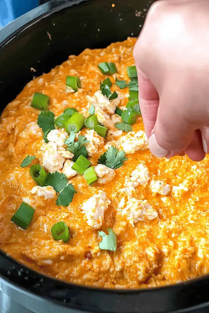 Slow Cooker Buffalo Chicken Dip