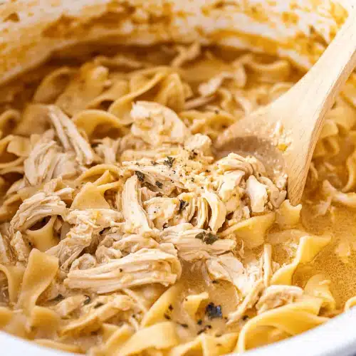 Slow Cooker Chicken Noodles