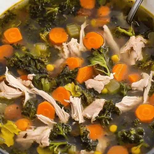 veggie chicken rice soup