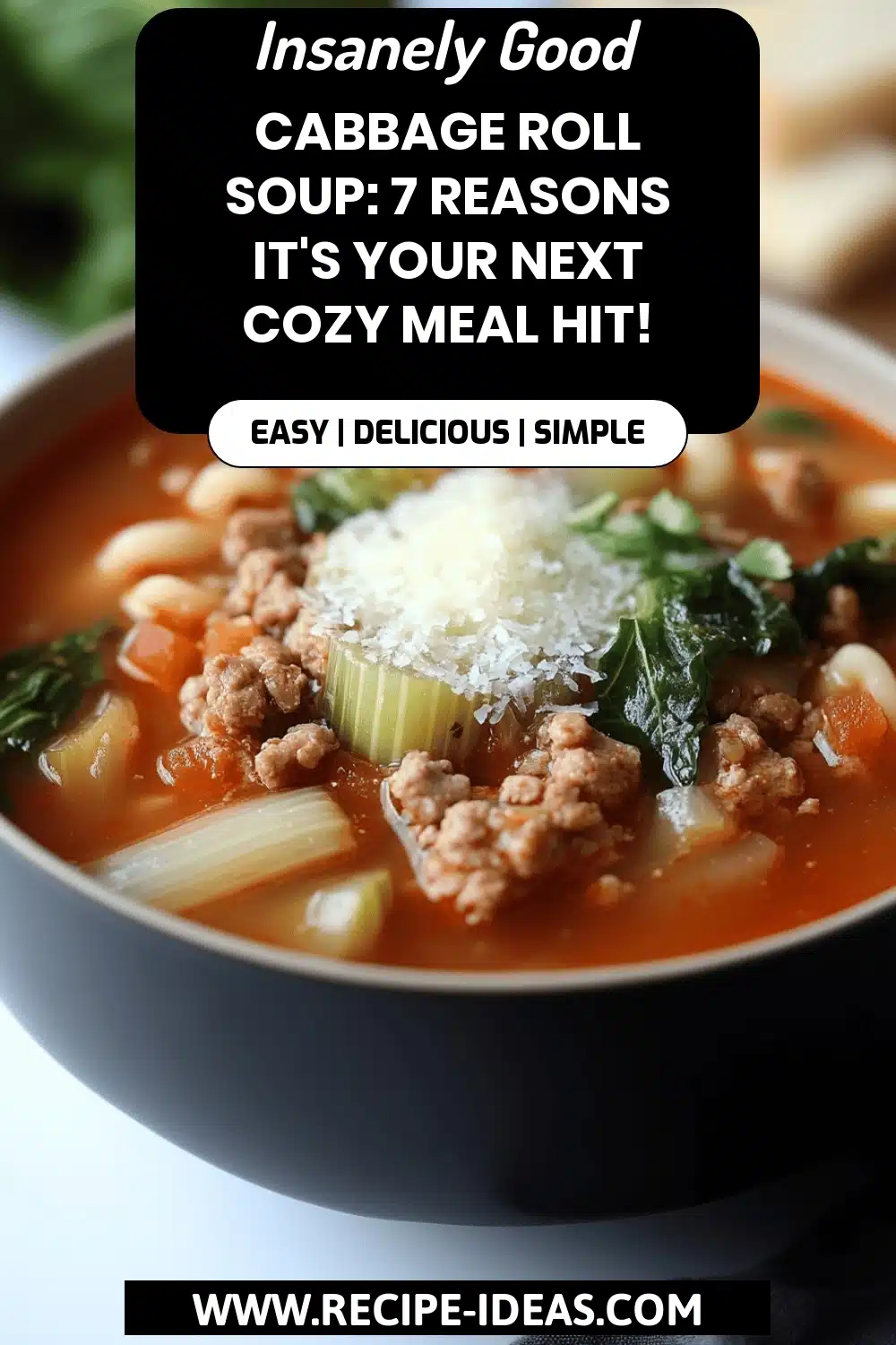 Cabbage Roll Soup final dish beautifully presented and ready to serve