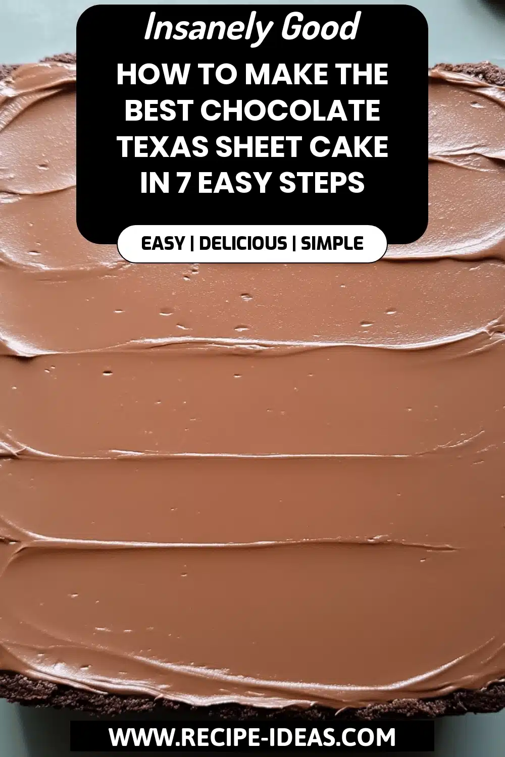 Chocolate Texas Sheet Cake final dish beautifully presented and ready to serve