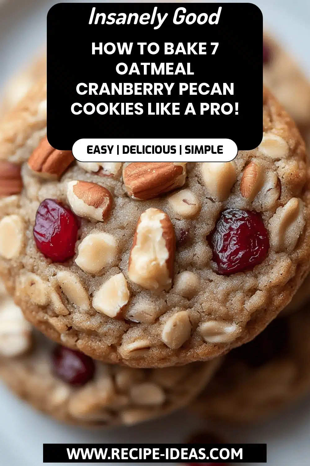 Oatmeal Cranberry Pecan Cookies final dish beautifully presented and ready to serve