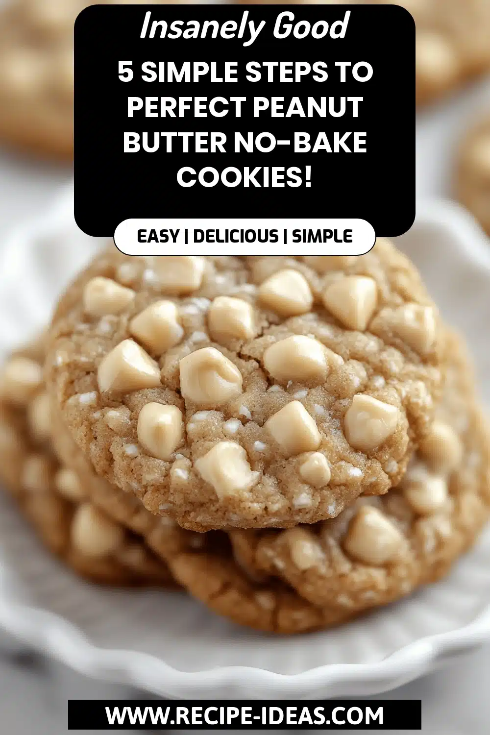 Peanut Butter No-Bake Cookies final dish beautifully presented and ready to serve