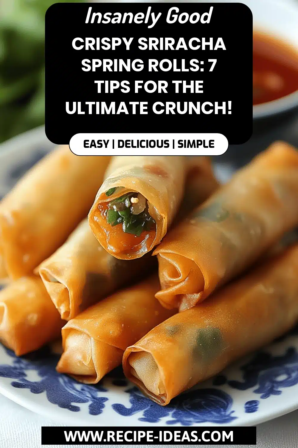 Sriracha Spring Rolls final dish beautifully presented and ready to serve