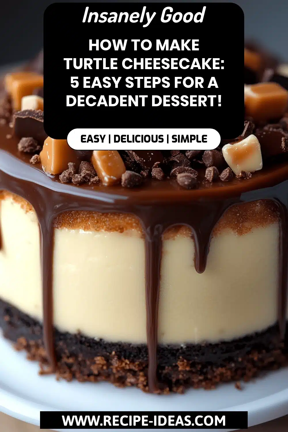 Turtle Cheesecake Recipe final dish beautifully presented and ready to serve