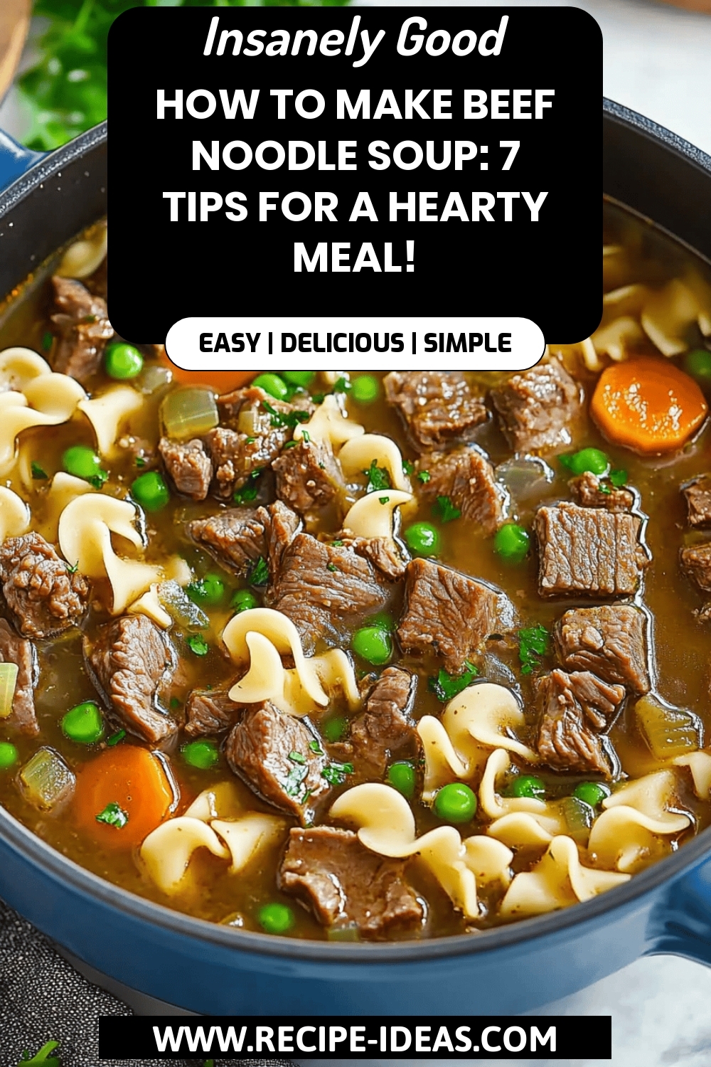 Beef Noodle Soup Recipe final dish beautifully presented and ready to serve