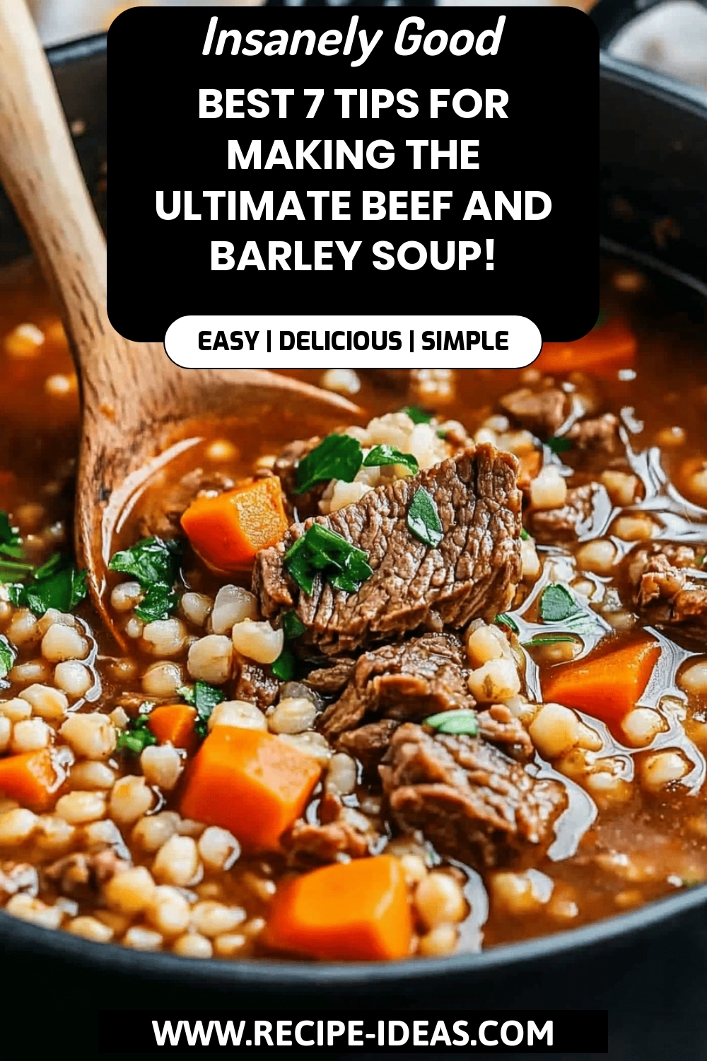 Beef and Barley Soup Tips final dish beautifully presented and ready to serve