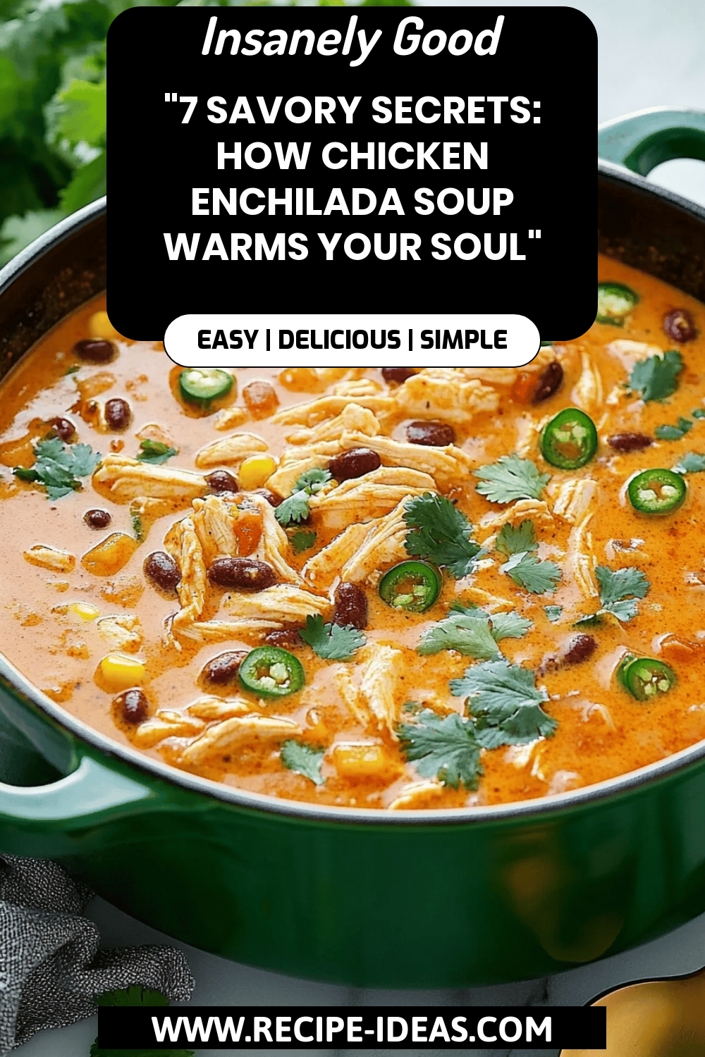 Chicken Enchilada Soup final dish beautifully presented and ready to serve