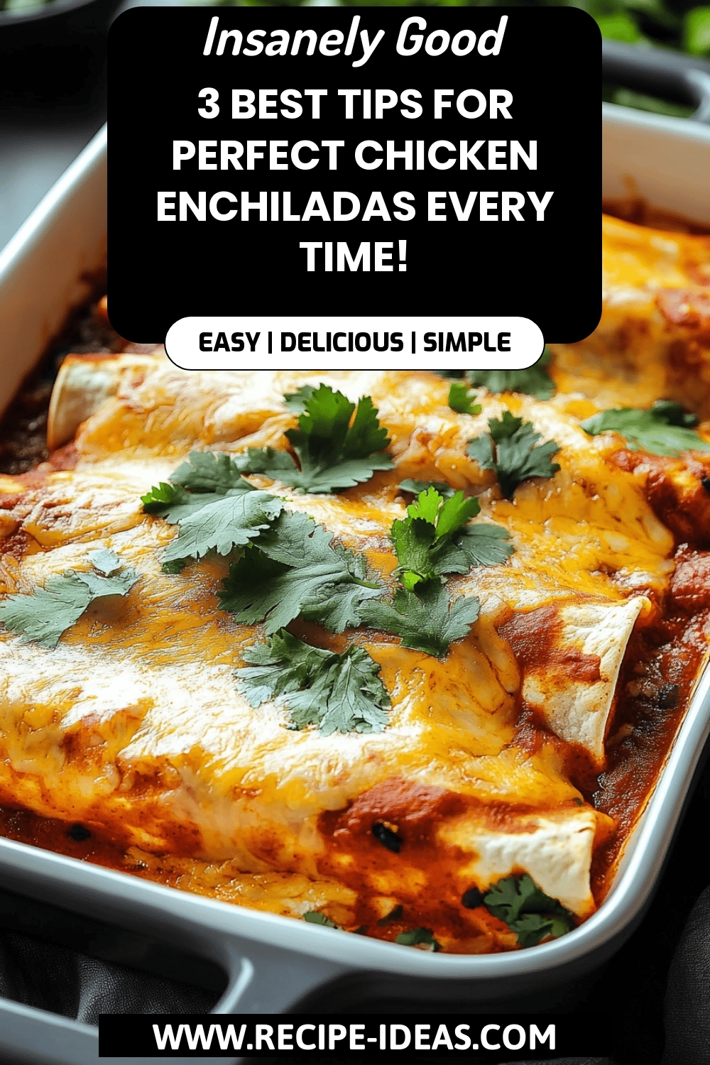 Chicken Enchiladas Tips final dish beautifully presented and ready to serve