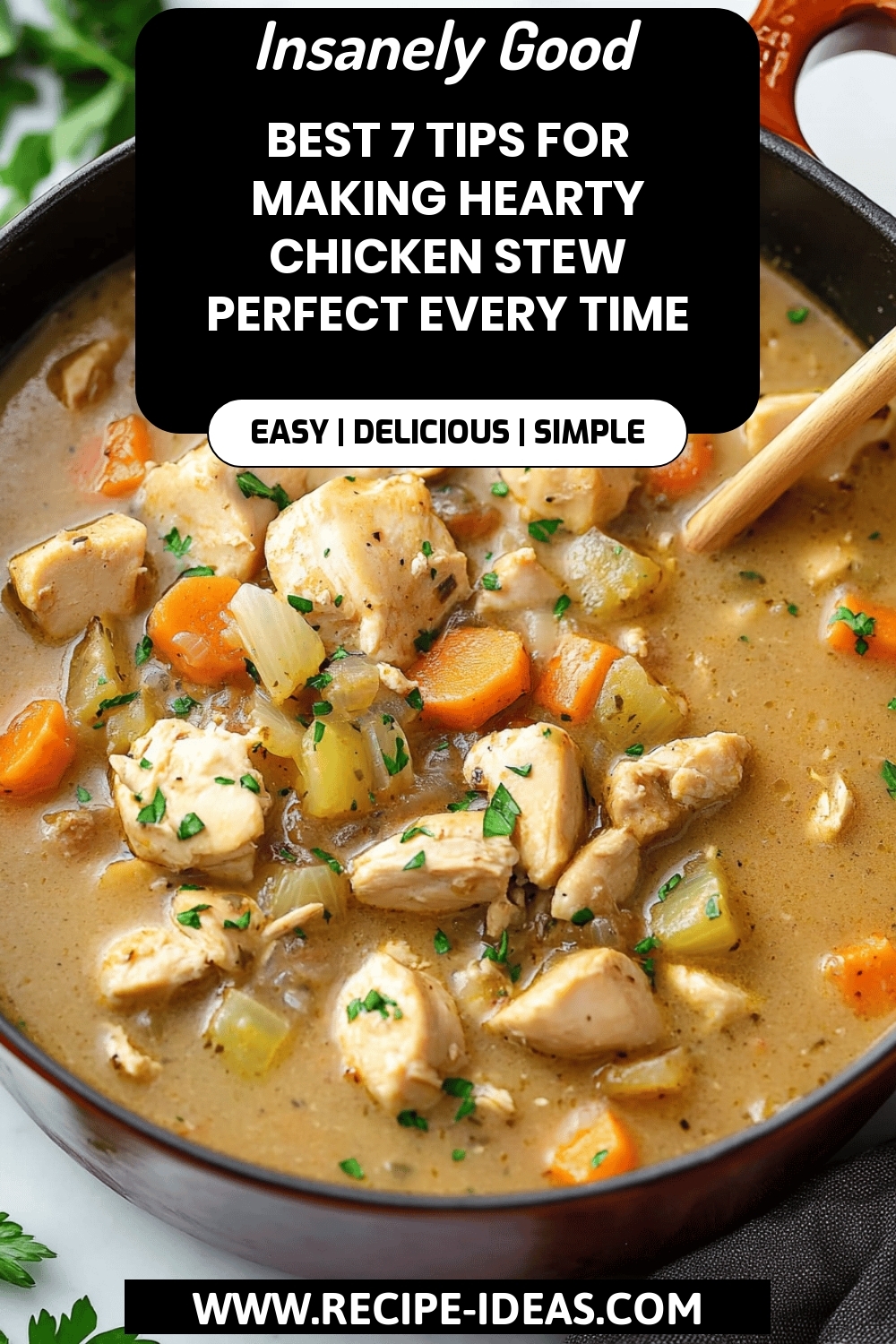 Chicken Stew Tips final dish beautifully presented and ready to serve