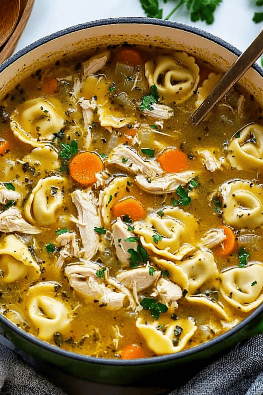 Chicken Tortellini Soup Recipe slice on plate showing perfect texture and swirl pattern