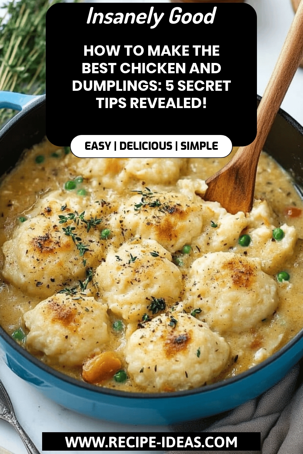Chicken and Dumplings Recipe final dish beautifully presented and ready to serve