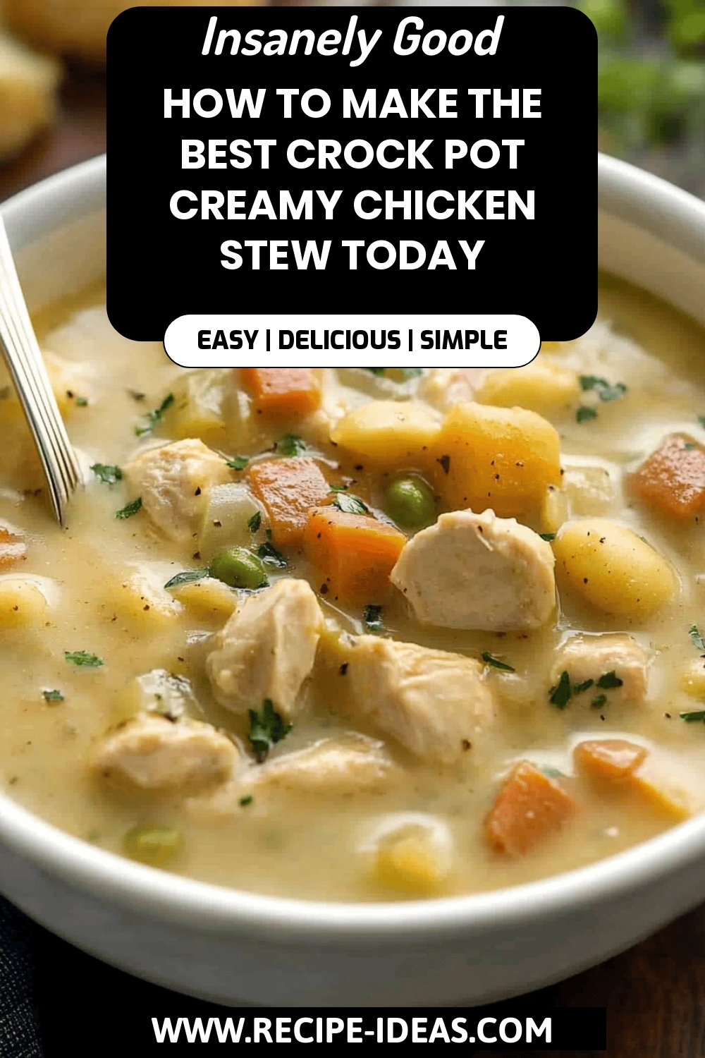 Crock Pot Chicken Stew final dish beautifully presented and ready to serve