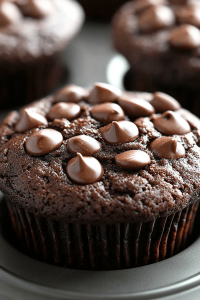 Flourless Chocolate Peanut Butter Muffins