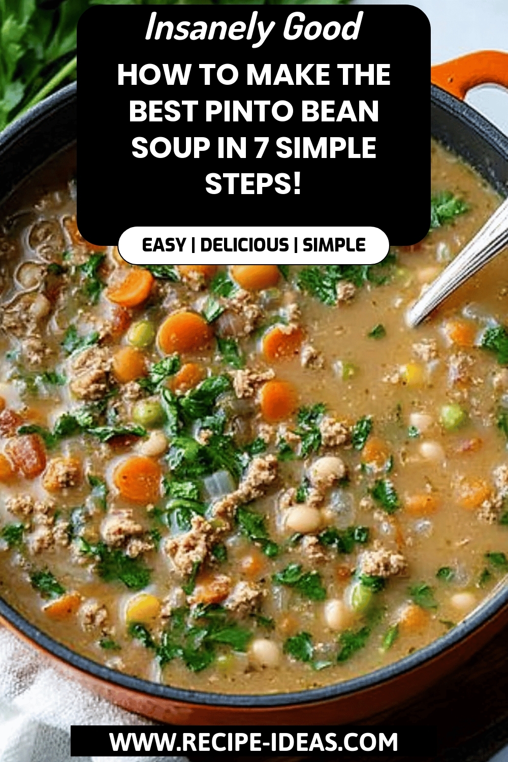 Pinto Bean Soup Recipe final dish beautifully presented and ready to serve