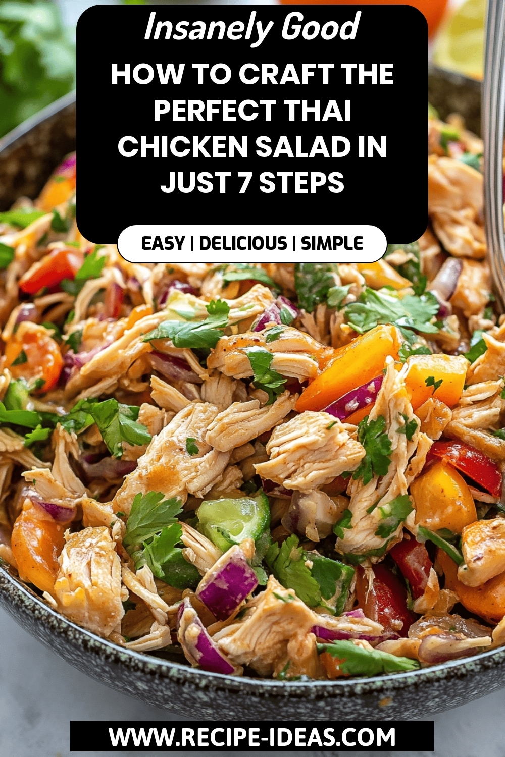 Thai Chicken Salad Recipe final dish beautifully presented and ready to serve