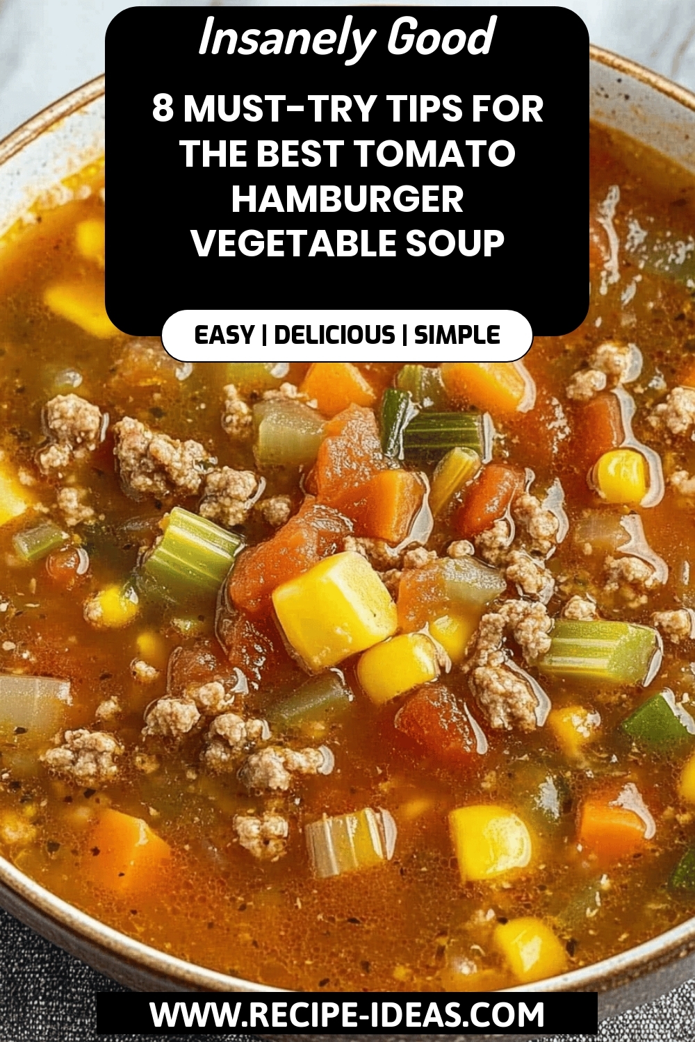 Tomato Hamburger Vegetable Soup final dish beautifully presented and ready to serve