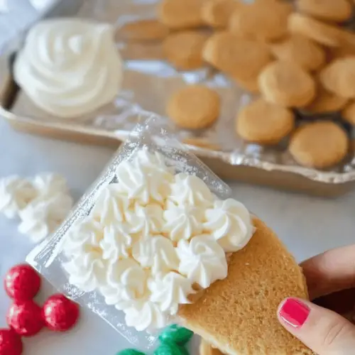 Royal Icing Recipe