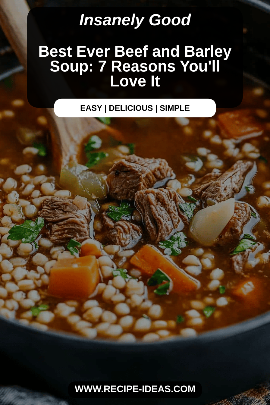 beef barley soup final dish beautifully presented and ready to serve