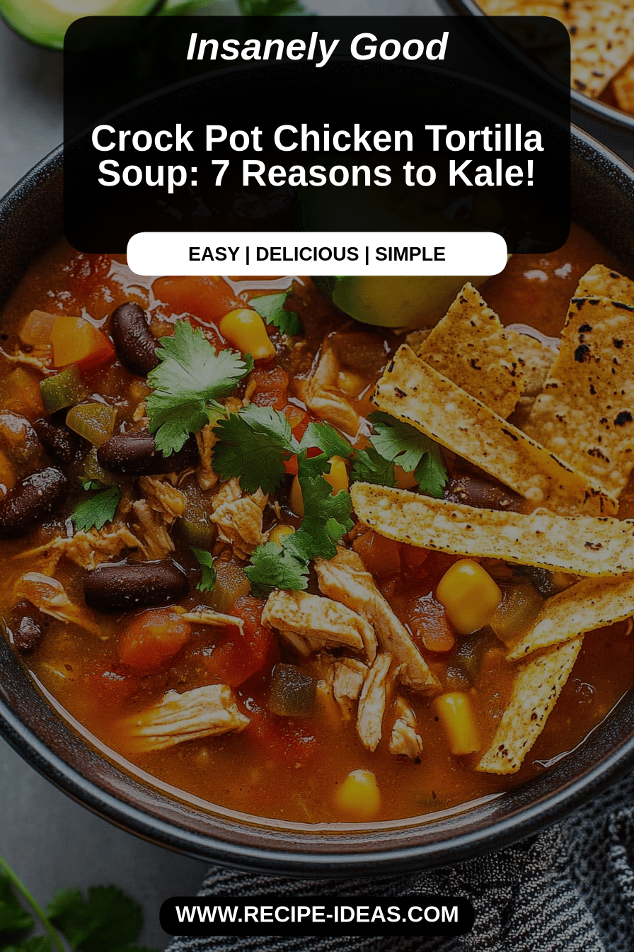 chicken tortilla soup final dish beautifully presented and ready to serve