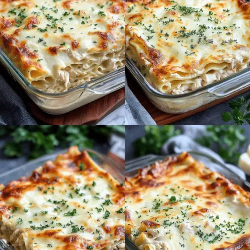 chicken alfredo lasagna