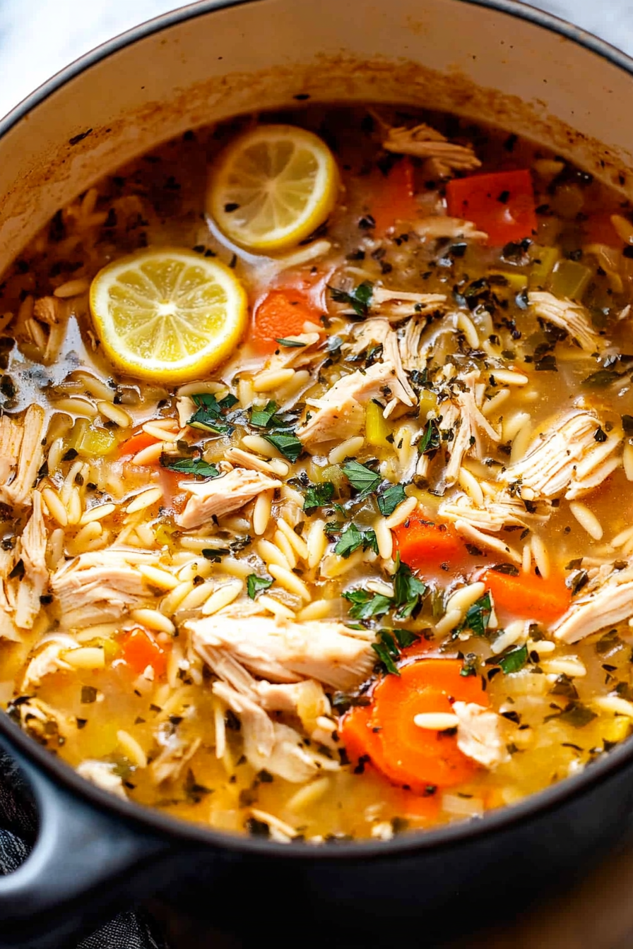 Chicken Orzo Soup
